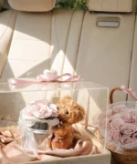 The Teddy Bloom - Image 4